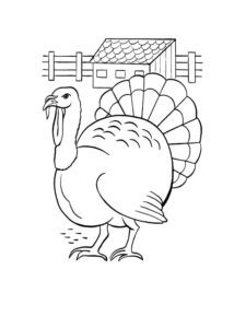 Turkey coloring page