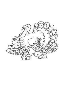 Turkey coloring page