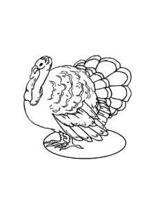 Turkey coloring page