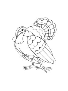 Turkey coloring page