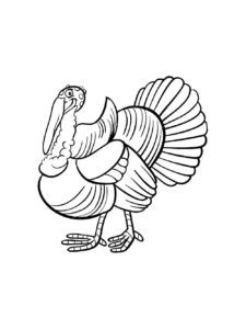 Turkey coloring page