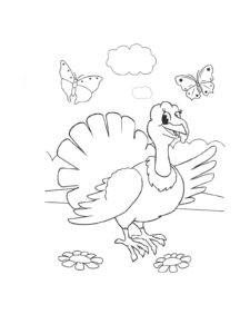 Turkey coloring page