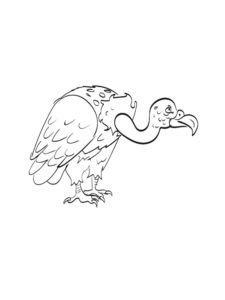 Vulture coloring page