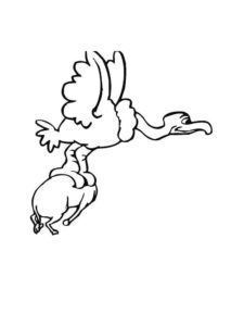 Vulture coloring page