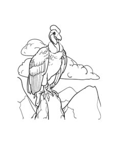 Vulture coloring page