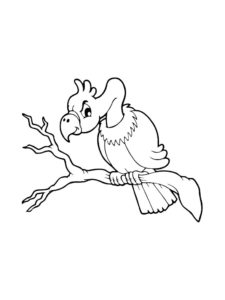 Vulture coloring page