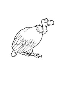 Vulture coloring page