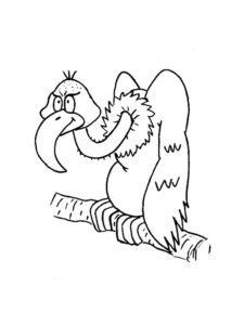 Vulture coloring page