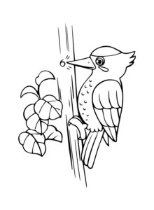 Woodpecker coloring page