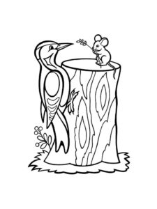 Woodpecker coloring page