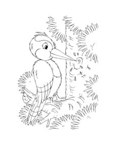 Woodpecker coloring page