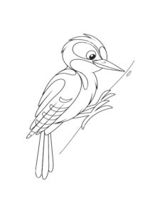 Woodpecker coloring page