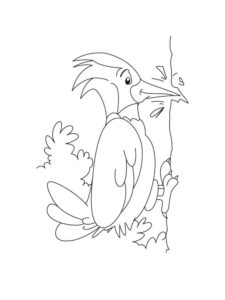 Woodpecker coloring page