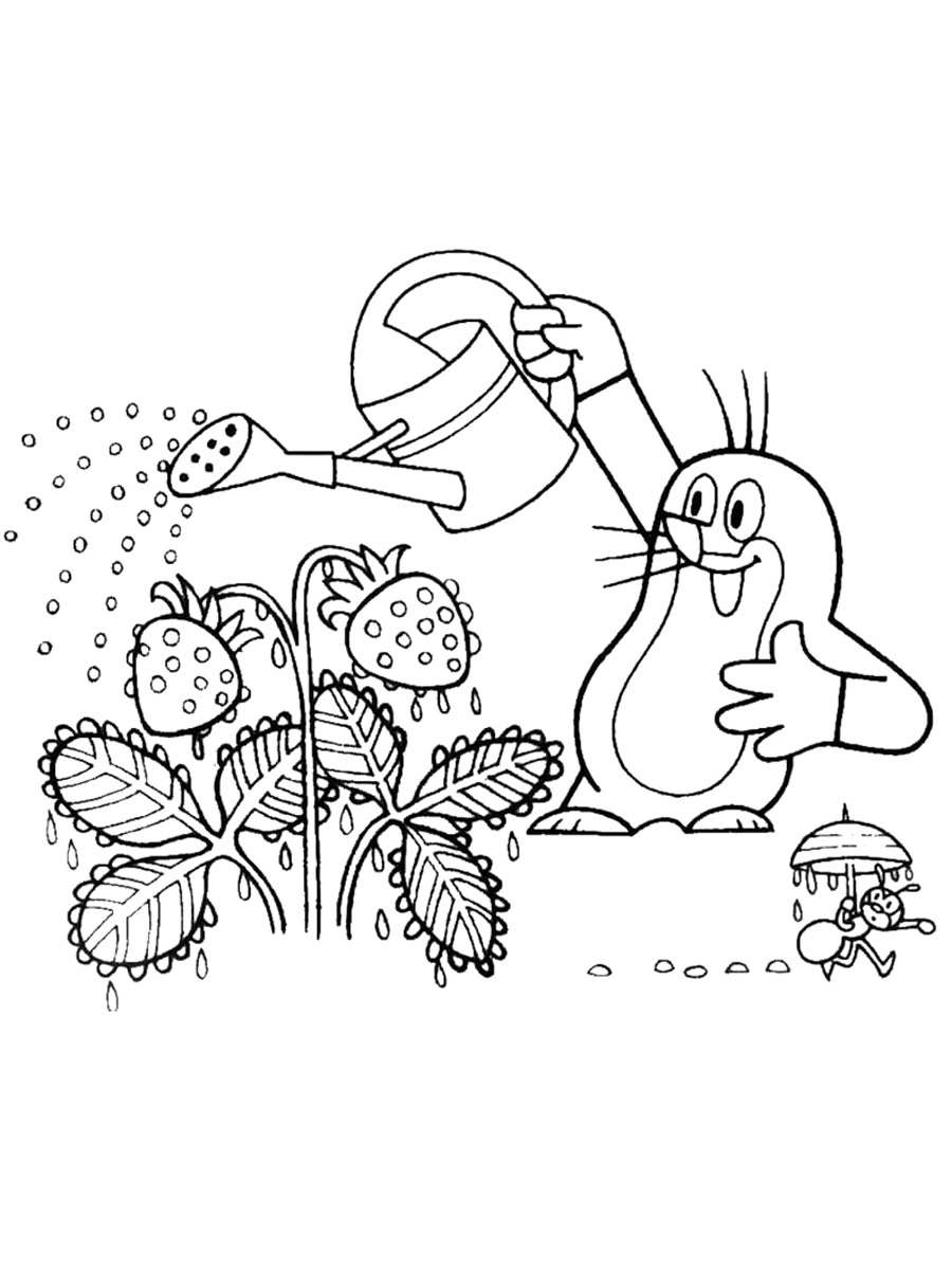 Krtek waters strawberries coloring page