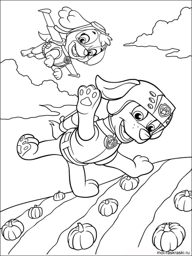 Skye and Zuma fly over a pumpkin field coloring page