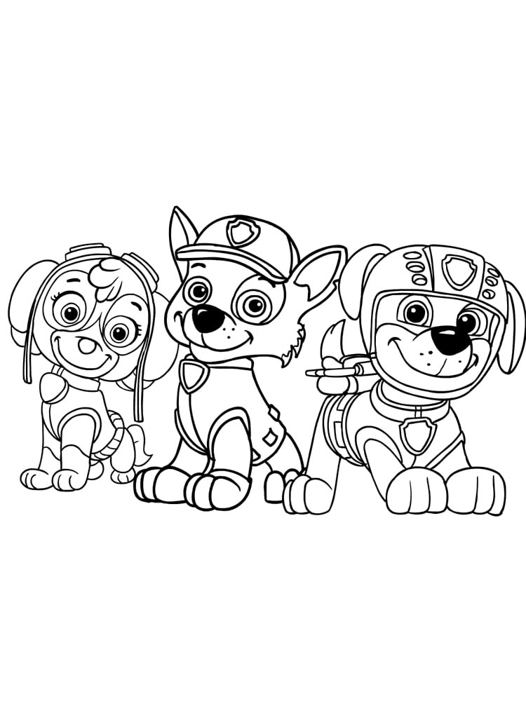 Skye, Rocky and Zuma coloring page