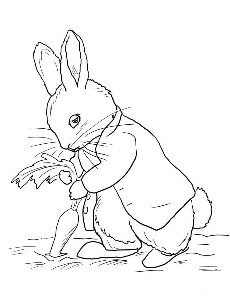 Peter Rabbit 1 coloring page
